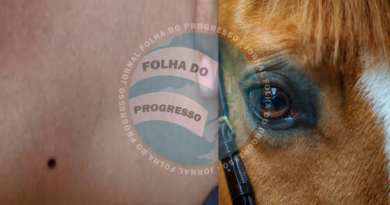 tiro espingarda presão-cavalo