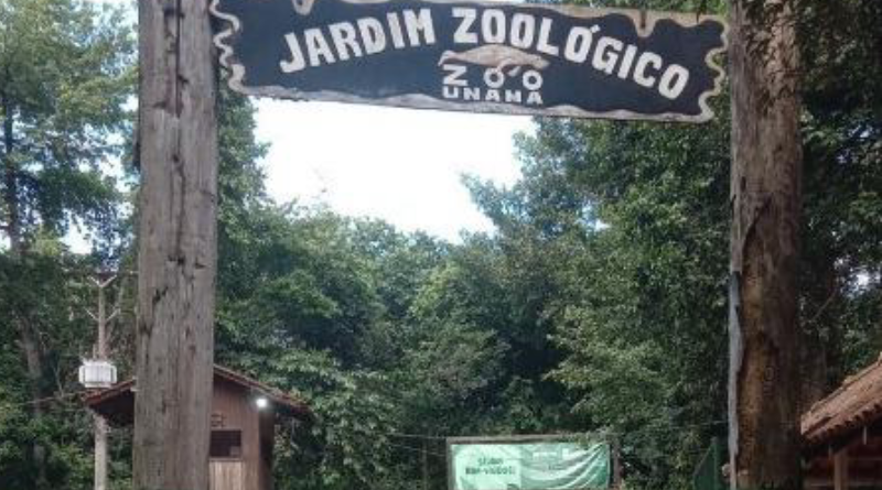 zoologico santarém
