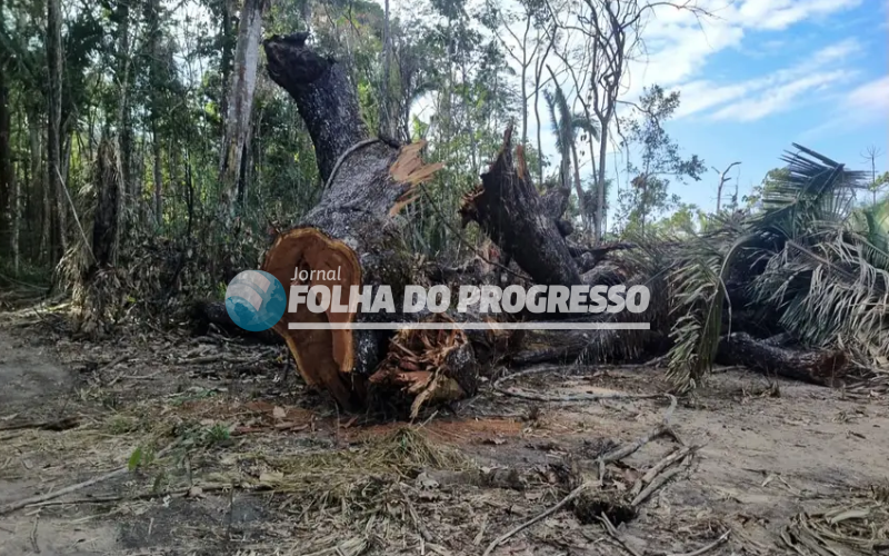Novo Projeto (35)