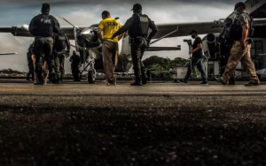 Novo Projeto (61)