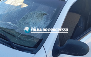 Novo Projeto (89)
