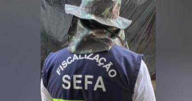 SEFA