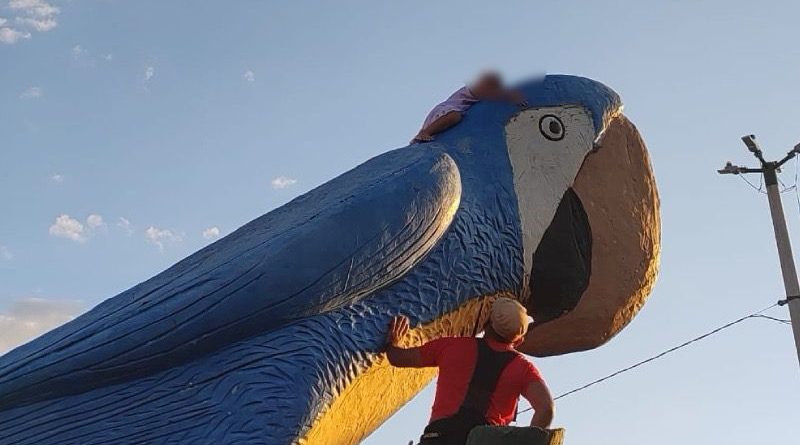 WhatsApp Image 2025-07-10 at 09.50.34