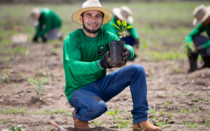 Iniciativa-planta-mais-de-12-mi-de-árvores-no-Cerrado-e-Amazônia.png