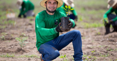 Iniciativa-planta-mais-de-12-mi-de-árvores-no-Cerrado-e-Amazônia.png