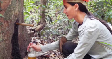 Novo Projeto - 2025-08-05T082026.740