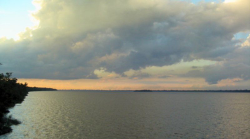 Novo Projeto - 2025-08-14T090822.239