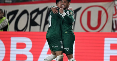 Novo Projeto - 2025-08-15T065927.382