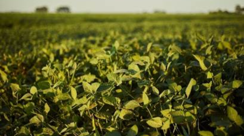 Novo Projeto - 2025-08-19T075317.269