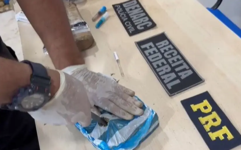 Foto: Reprodução/PCPA