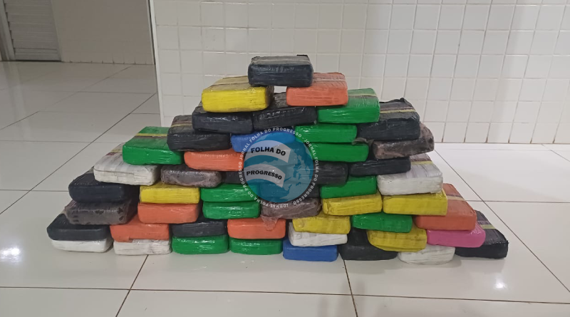 Drogas apreendidas | Foto: Reprodução