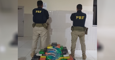 drogas apreendidas NP