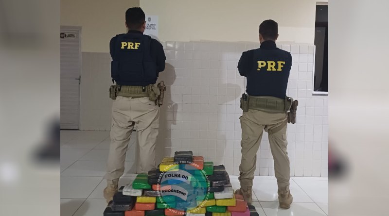 drogas apreendidas NP