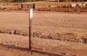 drogassantaraguaia (1)