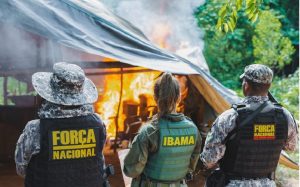 ibama1