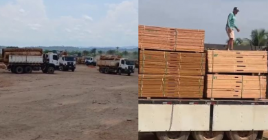 madeira apreendida em castelo