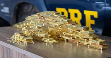 Apreensão de barras de ouro soma 104 kg em Boa Vista — Foto: Caíque Rodrigues/g1 RR