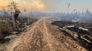 Fazenda onde ocorreu o acidente (Foto>Reprodução)