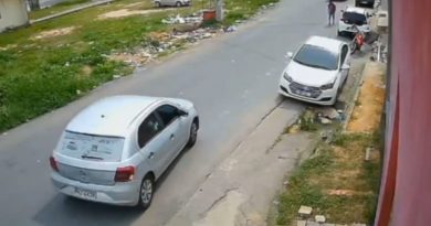 Câmeras flagram abandono de cachorros na Zona Norte de Manaus