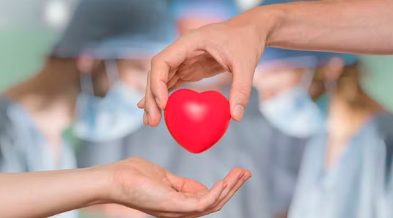 Doação de orgãos _ Foto_ Divulgação_Freepik