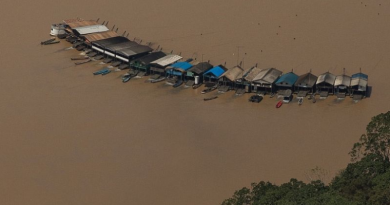 (Foto: Bruno Kelly/Amazônia Real)