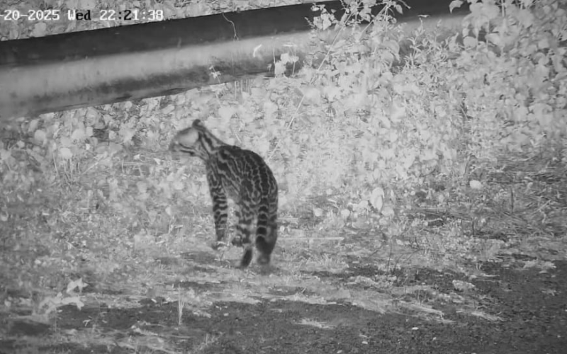 Fotos_-Norte-Energia