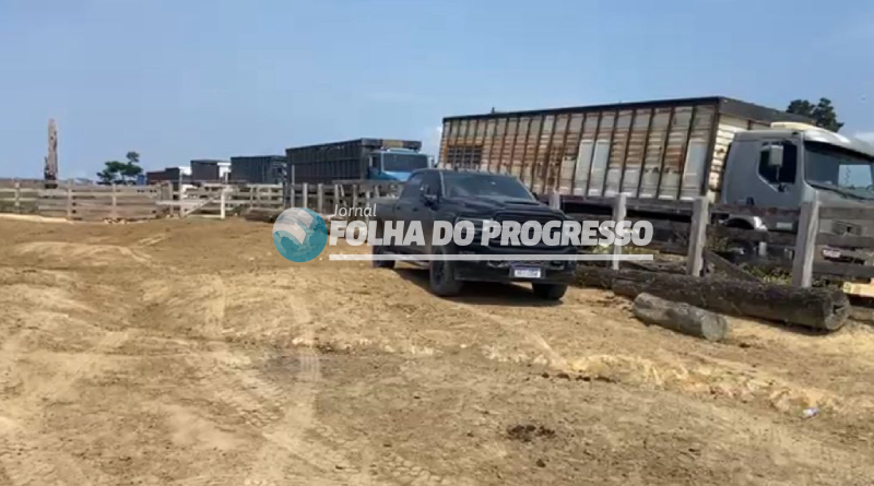 Polícia Civil investiga possível roubo de gado em fazenda de Novo Progresso