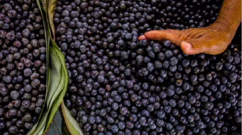 açai