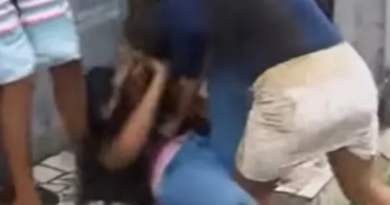 briga de blogueiras ao vivo