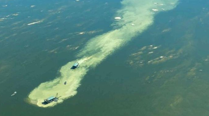 raga próxima aos limites da Terra Indígena Sawré Muybu, em julho de 2025. Foto_ Greenpeace.