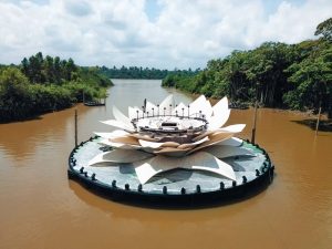 Amazônia Live - Hoje e Sempre: Divulgação