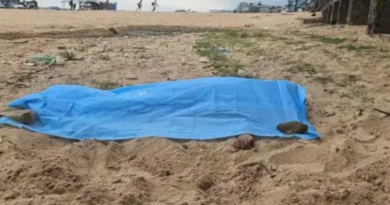 Novo Projeto - 2025-10-22T131513.233