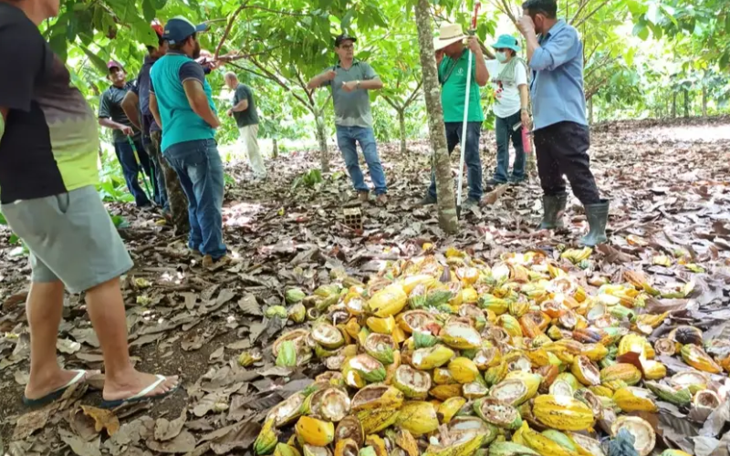 Novo Projeto - 2025-10-23T134958.170