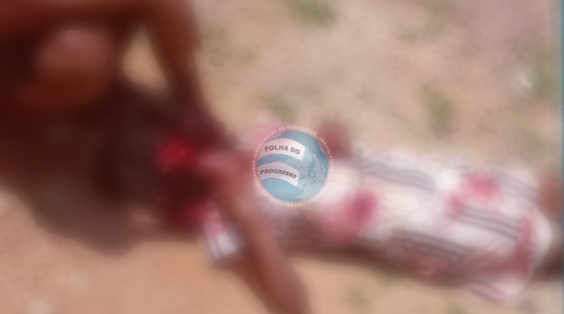 Novo Projeto - 2025-10-23T162552.071