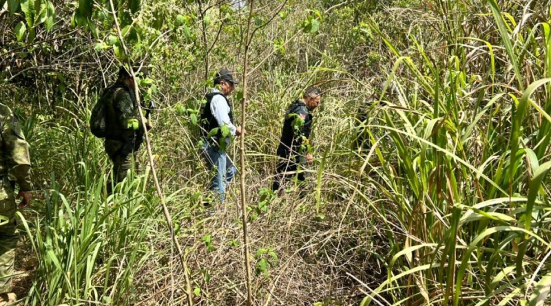 Novo Projeto - 2025-10-28T111641.255