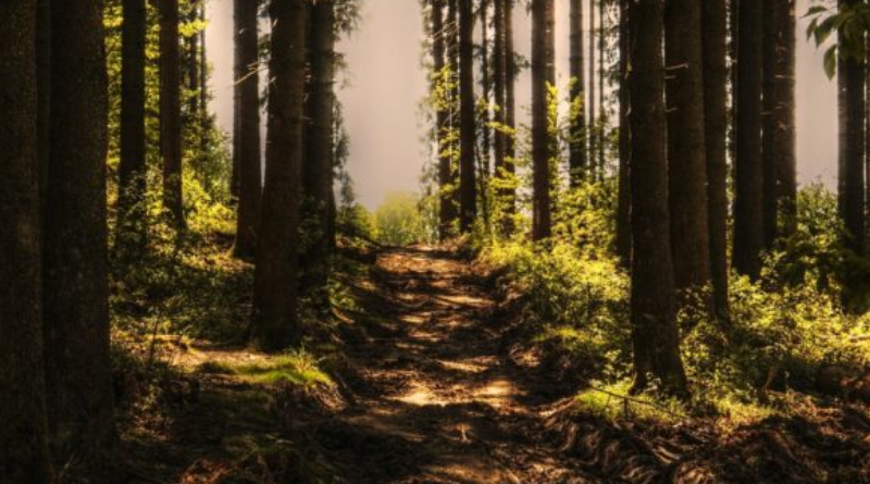 Novo Projeto - 2025-10-29T091737.697