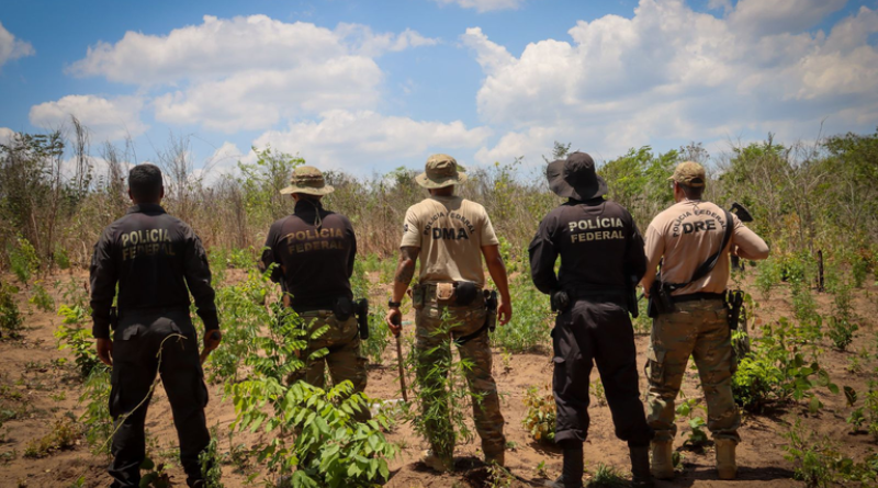 Foto: Divulgação/PF