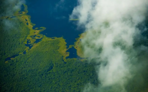 Semas compartilha dados ambientais com órgãos federais para fortalecer gestão territorial no Pará