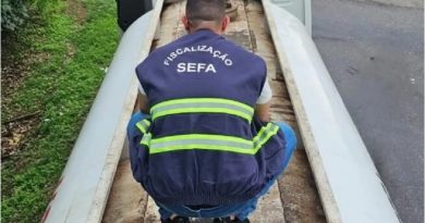 sefa1
