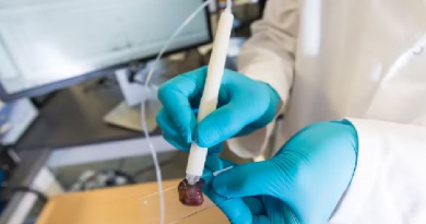 Demonstração de uso da caneta MasSpec em uma amostra de tecido humano — Foto_ Vivian Abagiu_Universidade do Texas