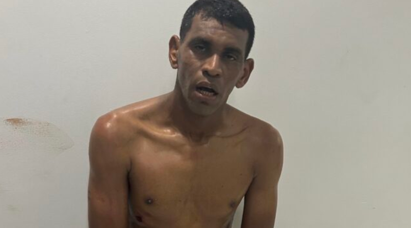 Novo Projeto - 2025-11-10T162053.597