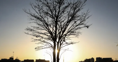 Novo Projeto - 2025-11-12T152007.388