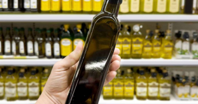 Novo Projeto - 2025-11-14T143725.419