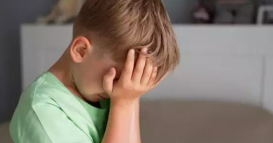 Novo Projeto - 2025-11-14T152828.254