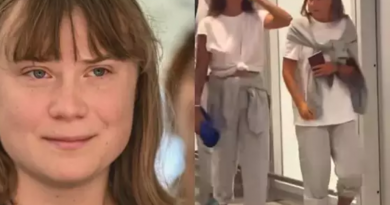 Novo Projeto - 2025-11-15T090211.715