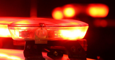 Novo Projeto - 2025-11-18T125711.227