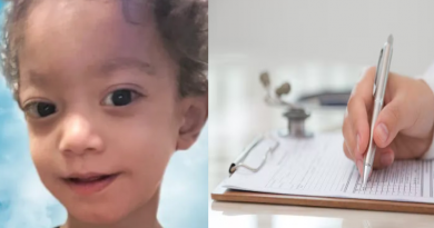 Novo Projeto - 2025-11-18T142656.120