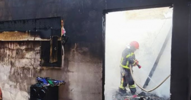 Foto: Reprodução/33º GBM