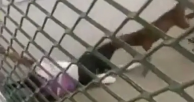 Novo Projeto - 2025-11-19T123844.286