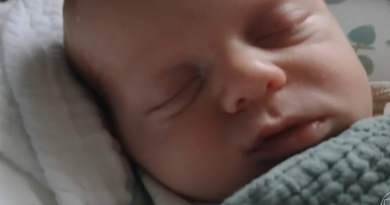 Novo Projeto - 2025-11-19T160839.597